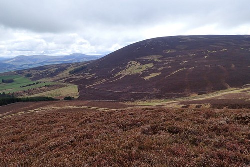 Photo 6x4 view across scaut - photo,