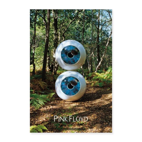 Pink floyd pulse - floyd, copertina