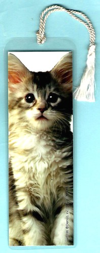 Segnalibro tabby gatto - tabby, gattino