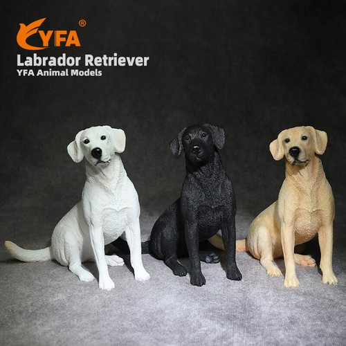 Jjm seduto labrador retriever - seduto,
