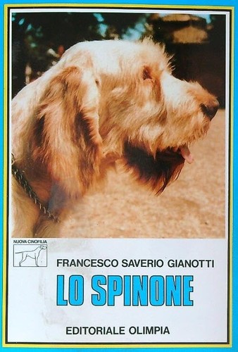 Spinone francesco saverio - lo,