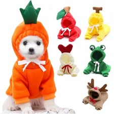Carino cappotto cane vestiti