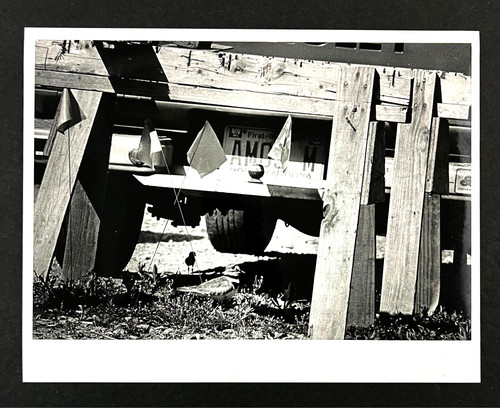 1988 killdeer baby mother - 1988,