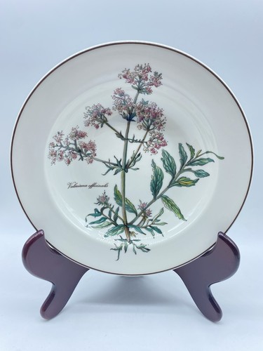 Piatto fondo villeroy boch - fondo,