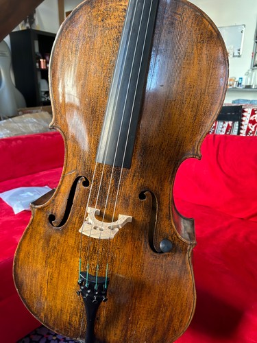 Violoncello antico - violoncello,