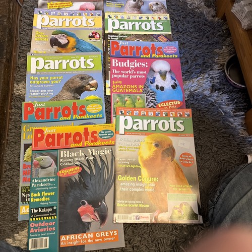 Parrots magazine bundle - parrots,