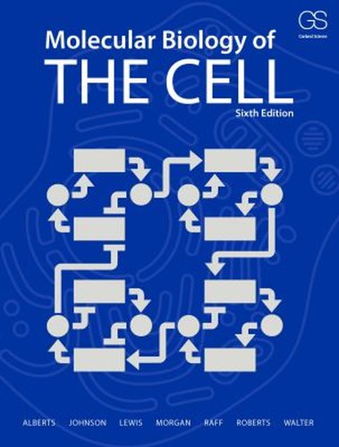 Molecular biology the - of,