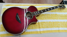 Chitarra acustica-elettrica
