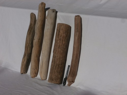 Legno mare tronchi - legno, xl