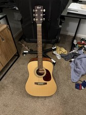 Cort Acoustic Guitar Earth