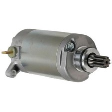 Wild Boar Starter Motor