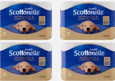 Scottex Scottonelle Carta