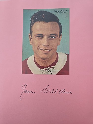 Erwin waldner xxl - waldner,