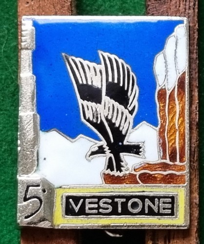 Distintivo gruppo vestone - "gruppo, vestone"