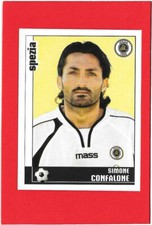 CALCIATORI Panini 2006-07