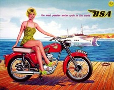 274213) BSA 500 250 650 -