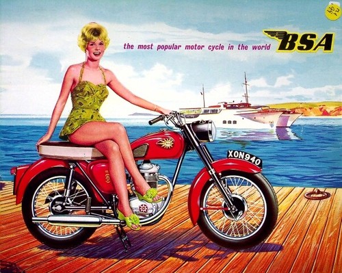 274213 bsa 500 - 500, 250