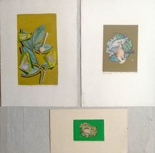 AMBROGIO NICOLINI - 3 bulini