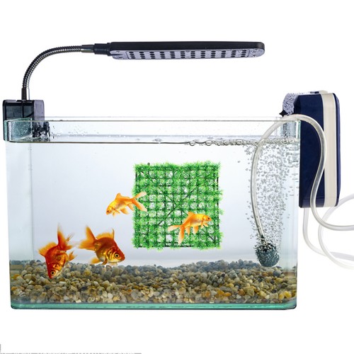 Accessori acquario tappeti - acquario,
