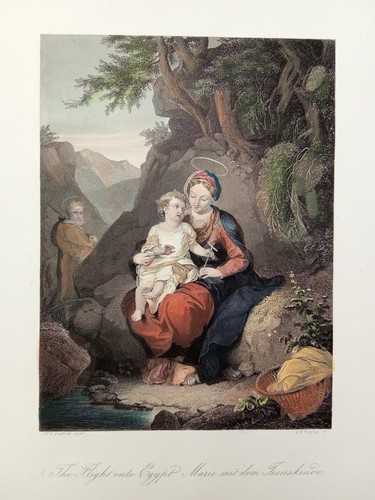 Incisione antica 1850 - incisione,
