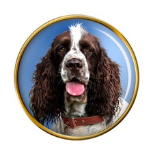 Springer Spaniel Inglese