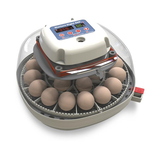 Nurture right egg incubator - right,