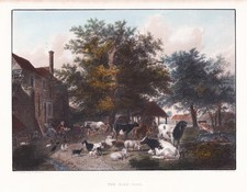 Fattoria Allevamento Pecore