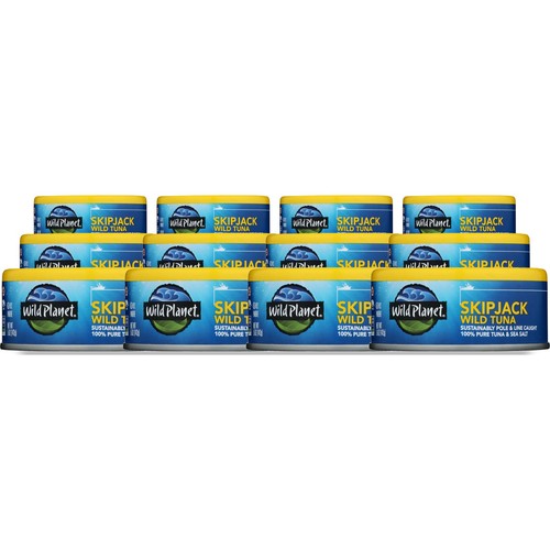 Wild planet lattina di - 5,