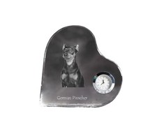 Pinscher tedesco orologio a
