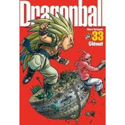 Livre dragon ball - dragon,