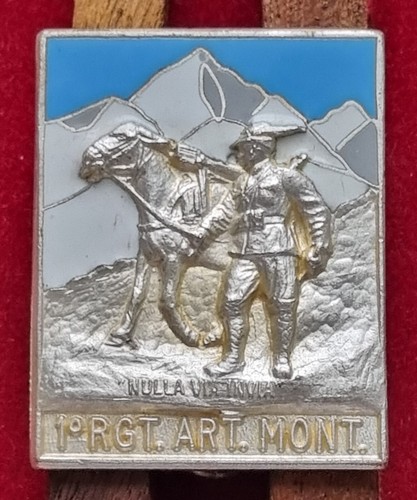 Distintivo reggimento - distintivo,