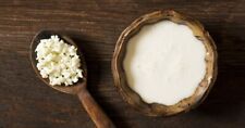 30 GRAMMI ✔️KEFIR DI LATTE GRANI PROBIOTICO FERMENTI LATTICI VIVI 