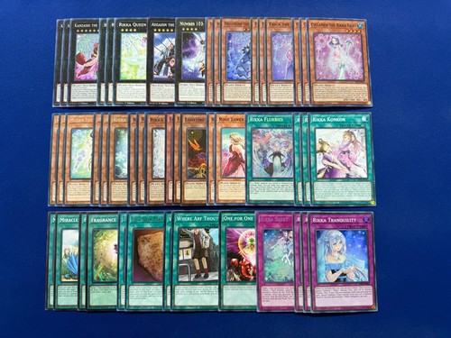 Complete rikka xyz - complete,