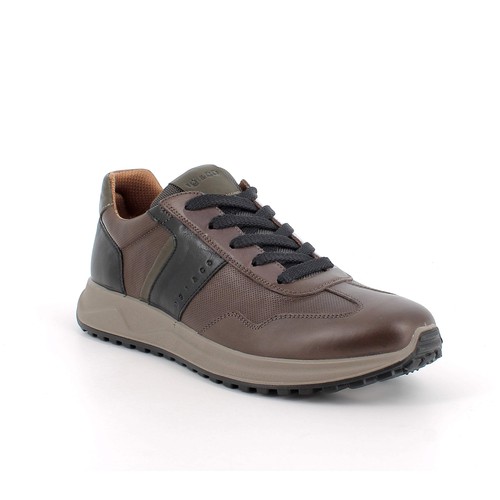Igi uomo scarpe 8639111 - igi&co,