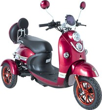 Monopattino Elettrico Eco