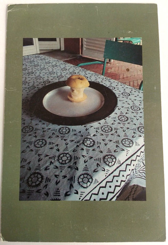 Aldo mondino cartoncino di - aldo, mondino,