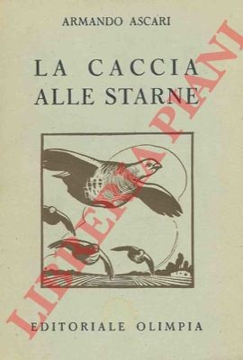 Ascari armando la caccia - -,