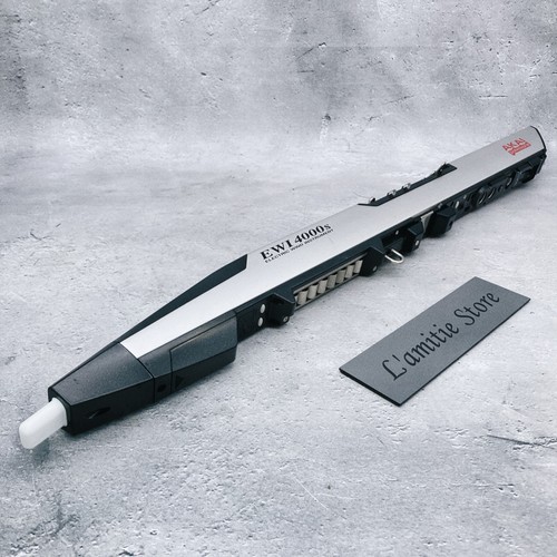Akai ewi4000s sintetizzatore - akai,