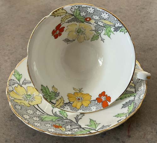 Copelands tazza e piattino - ::,