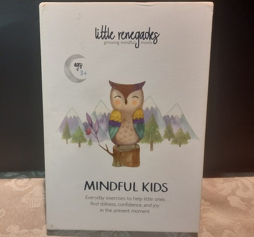 Little renegades mindful kids - renegades,