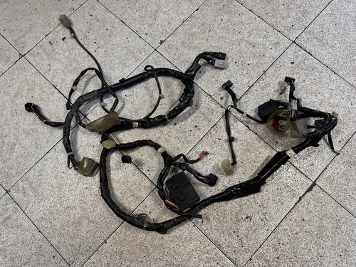 Impianto elettrico honda - elettrico, sh