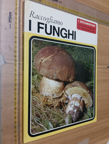 Raccogliamo funghi de - raccogliamo, i