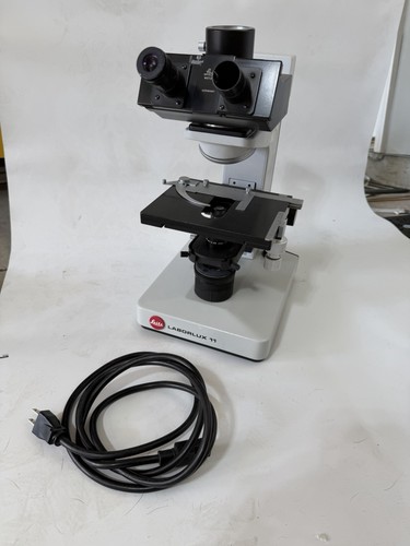 Microscopio binoculare