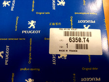 PEUGEOT 407 SW FANALE