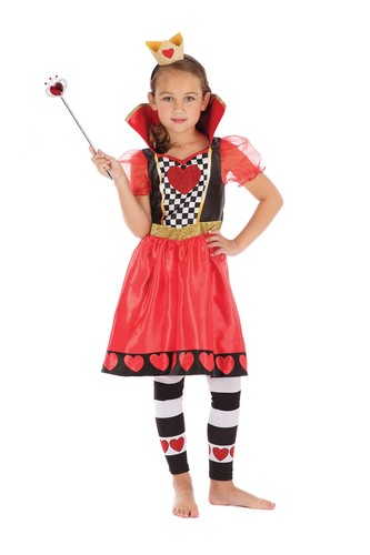 Bristol novelty costume - costume, da