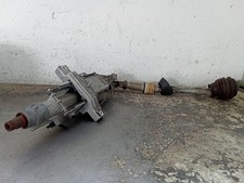 CANNA DELLO STERZO (PIANTONE)