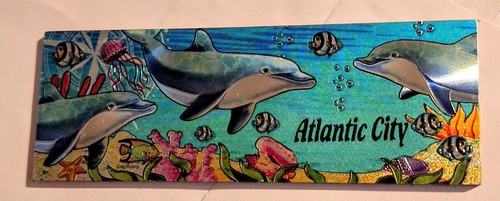 Calamita atlantic city nuova - calamita,