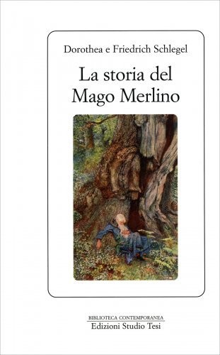 Libro storia del - libro, mago