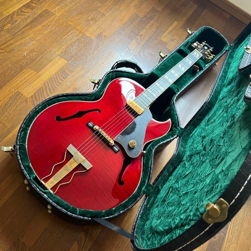 Chitarra elettrica acustica