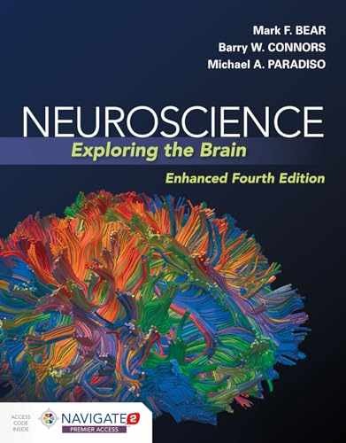 Neuroscience exploring the - neuroscience:,